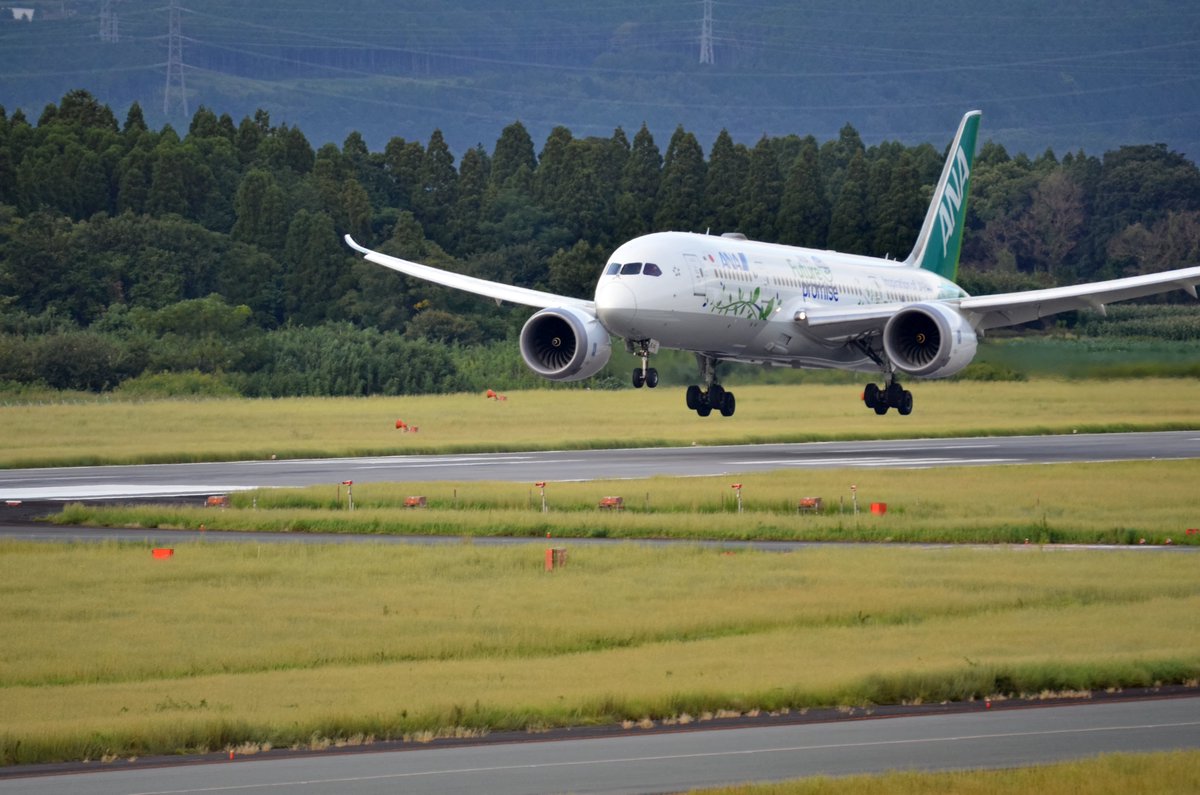 spica550213's tweet photo. #GreenJet #阿蘇くまもと空港
NikonD7000+TAMRON100-400mm F/4.5-6.3 Di VC USD (Model A035) https://t.co/rV6yxzuG5z