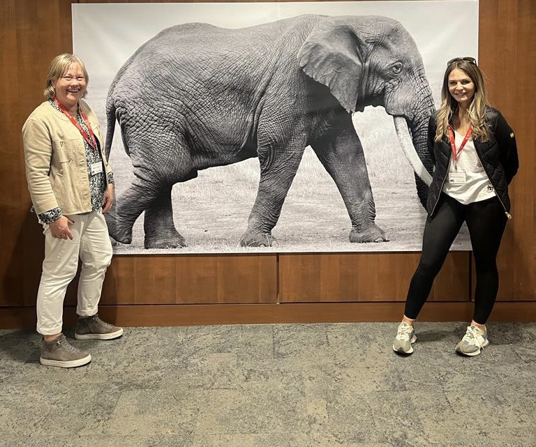 #wholepersoncare 
The Elephant in the room! @HurleyMaeve