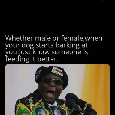 Witthoft151's tweet image. Earning money can be a way to create a financial safety net for yourself and your family.