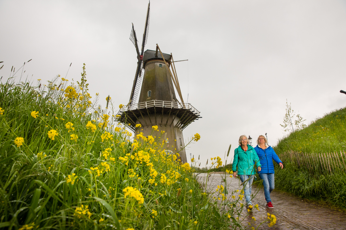 Op 21 oktober trekken we weer met z'n allen onze laarzen aan!

Doe jij ook mee?
🚶‍♂️ Verken onze natuurgebieden
bit.ly/3BfKmaJ
🌿 Kies een leuke wandelroute
bit.ly/3tBgZjz
📖 Of blader onze wandelgids nog eens door

#Biesboschlinie #Laarzendag2023 #NLDeltaActie