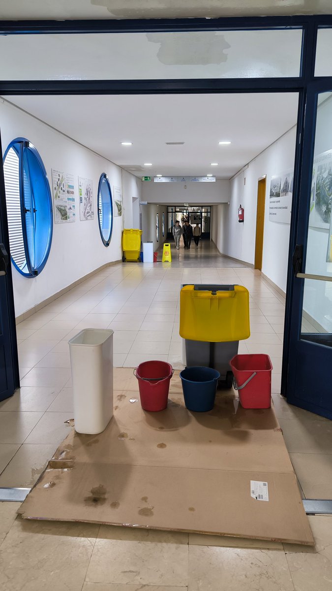 Próximamente edición de Wipe Out