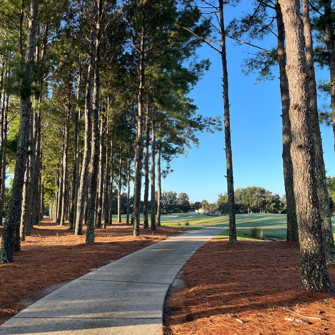 CHGCOcalaFL's tweet photo. It's really starting to feel and look like fall here on the golf course!
Who else is enjoying this weather?
#candlerhillsgolfcourse #fallweathertime #fallgolfing #chgc https://t.co/4vBwAq2rFj