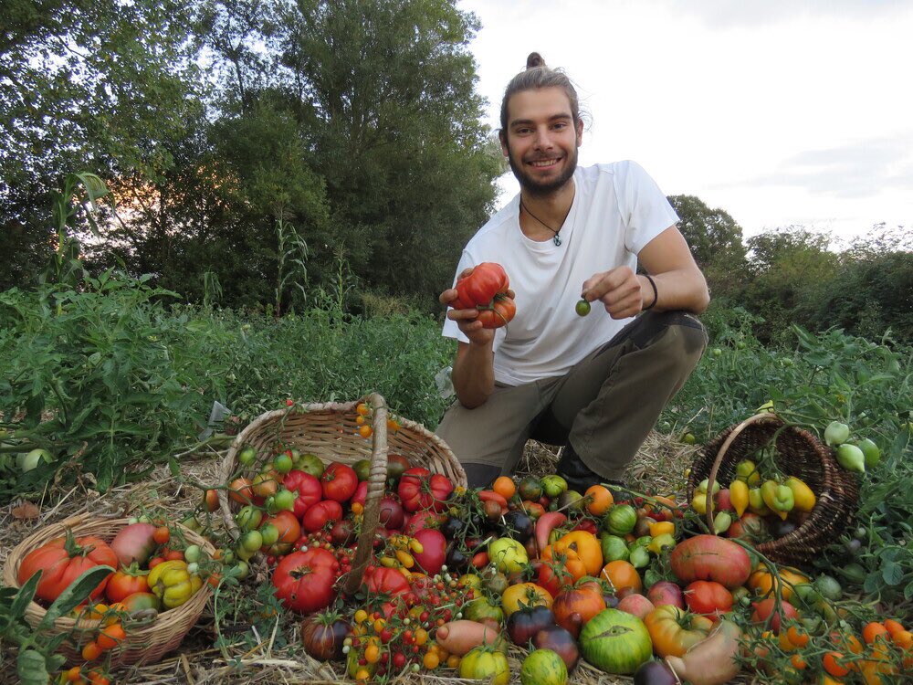 Daviddcoba's tweet photo. Emilio Medina (24) se dedica a cultivar en su huerta familiar de Villalcázar de Sirga (Palencia) variedades autóctonas de productos hortícolas. Ha rescatado de un banco de germoplasma un tomate de Quintanas de Gormaz (So) y me dice que es uno de los mejores que ha probado jamás. https://t.co/C2LYhHuiJ4