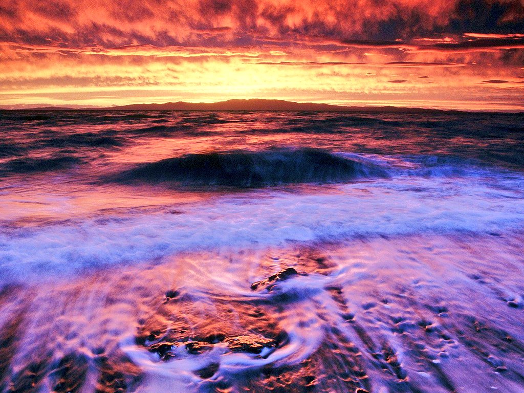 #Israel
#Gaza
#PeaceNotWar
#MuwellMotivation
You can have peace. Or you can have freedom. Don't ever count on having both at once...
There comes a time in your life when you have to choose to turn the page, write another book or simply close it...