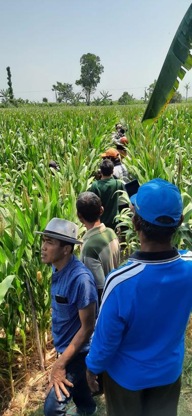 puji090887's tweet photo. Kenapa Aku Harus Dilibatkan.?
Aku Pingin Tenang Menikmati Alam Semesta

#gemerlap_politik https://t.co/rO9vVlm4BB