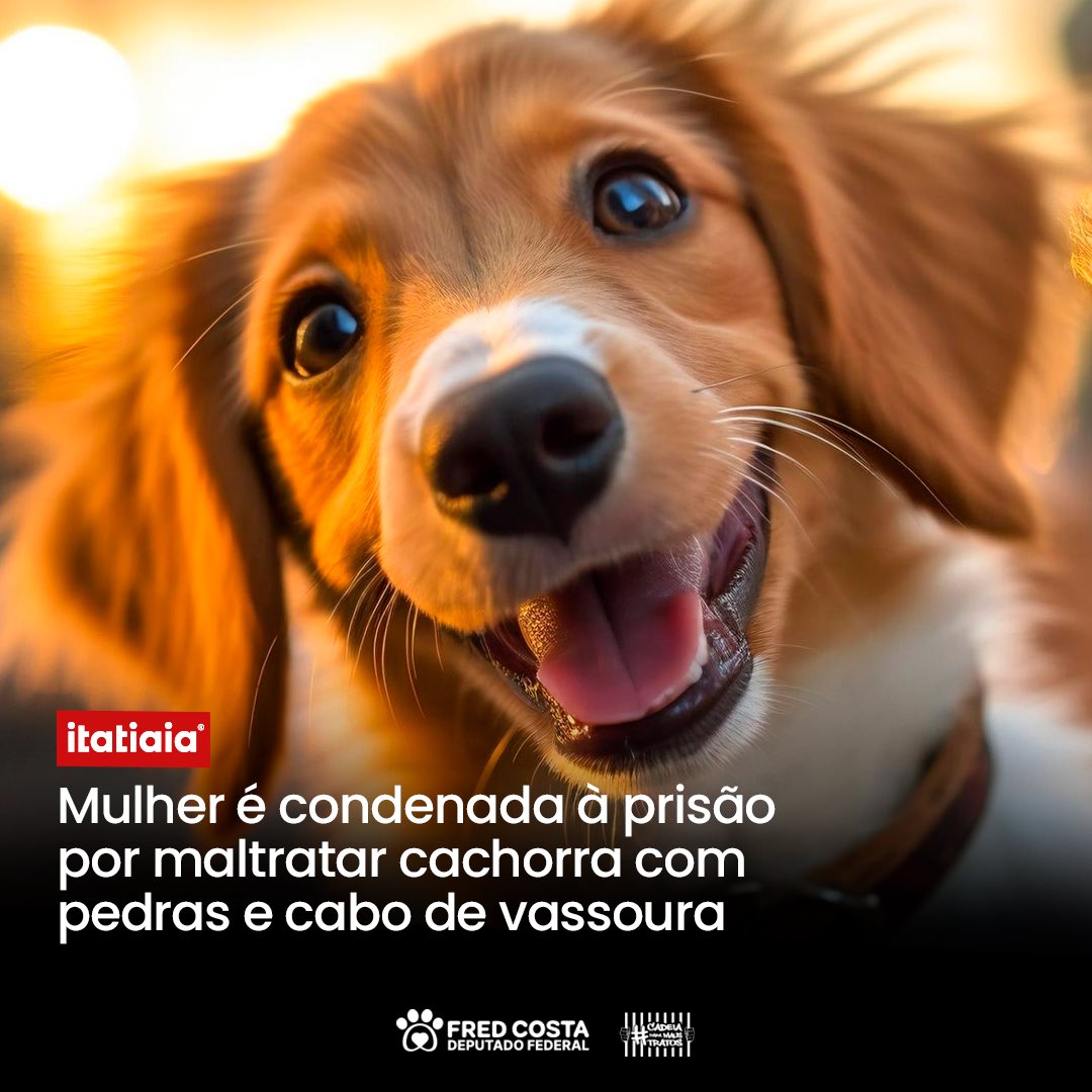 Fred Costa tweet media