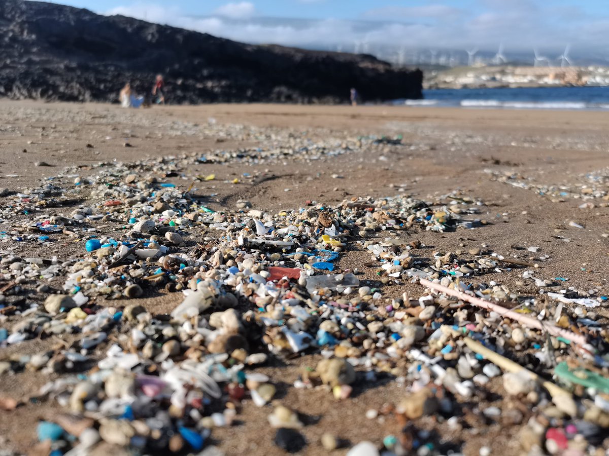 IMPLAMAC's tweet photo. Nos pasamos por aquí para recordarles que el próximo 26 de octubre 2023 va tener lugar la Jornada de Presentación de Resultados Finales del Proyecto #IMPLAMAC, 4 años recopilando datos del impacto de los #microplásticos y #contaminantesemergentes en las costas de La Macaronesia! https://t.co/EiE4ahiT5J