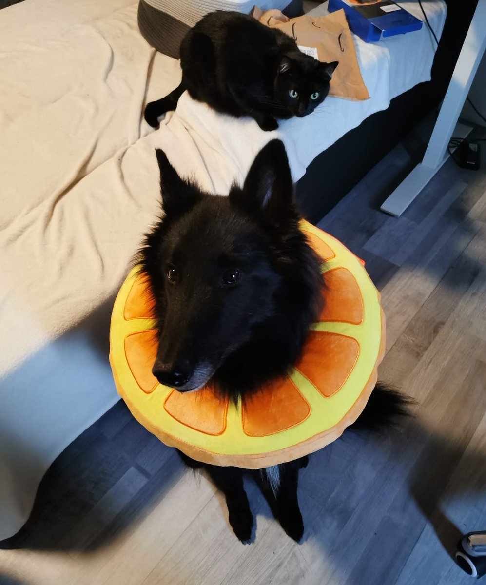 Ich sterbe, wie süß. 😍