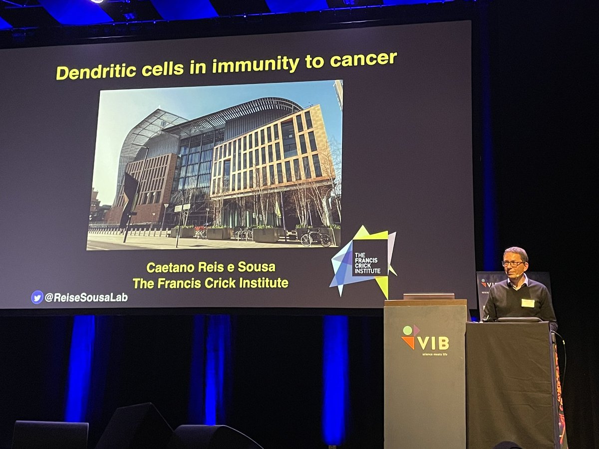 Kate_J_Waller's tweet photo. Continuing with very open discussions at the #EMDS2023 with @ReiseSousaLab showing incredibly interesting DC receptors and cancer @VIBConferences #Dendritic_cells https://t.co/05hBoTotNm