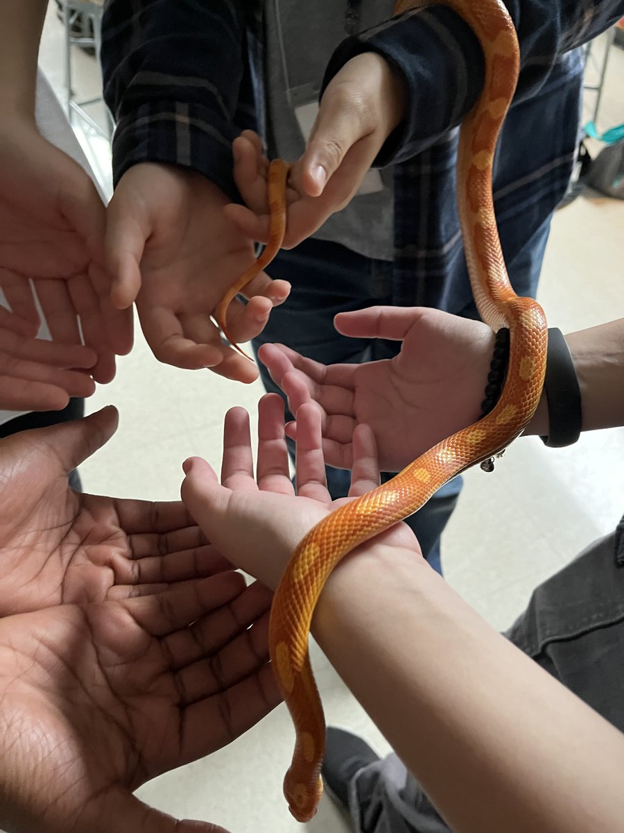 Mattmilko tweet media