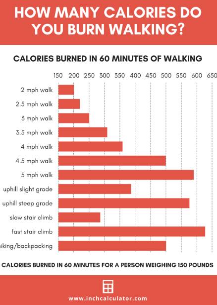 pa_balland's tweet photo. Today (in the US) I have been asked again why Parisians are so slim while eating all the croissants. I want to solve this big debate. See evidence below. Discuss. 

Conclusion: move to a French city, walk, and eat croissants to join the Net Zero calorie revolution. https://t.co/ymQzgevBrx