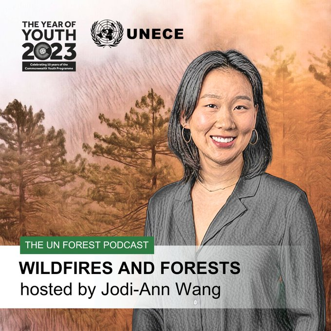 Last week, Jesus San-Miguel, coordinator of our #CEMS European Forest Fire Information System #EFFIS, was on the @UN Forest #Podcast ➡️Topic: how #wildfire🔥 seasons are becoming longer & more destructive than ever 🔊Listen to the podcast at👇 unece.org/media/news/384…