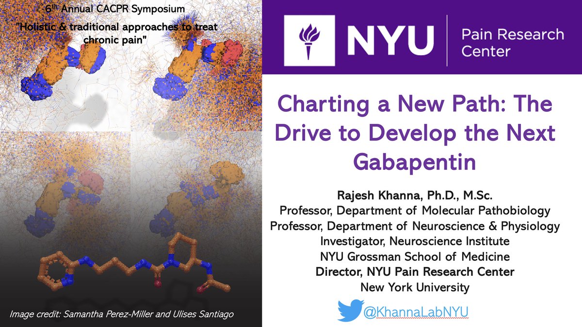 All set for my talk at the 6th Annual CACPR Symposium
'Holistic and traditional approaches to treat chronic pain' @UofMaryland. Thank you @DrJoyceDaSilva for the invitation. I look forward to discussions with the trainees and faculty of @umdentistry.
