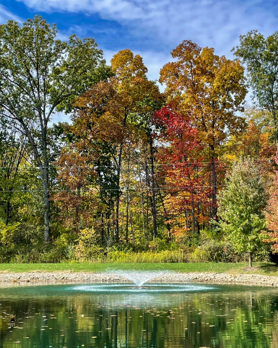Capturing the essence of Fall one account at a time! 📸🍂 Photo by Aquatic Technician, McKenna Cimperman #lakemanagement #aquaticprofessional #pond #fall #watermanagement #pondmanagement #lakes #lakemaintenance #fountains #thelakedoctors