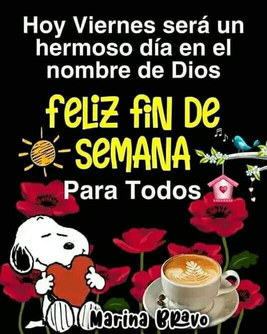 Bertha Vigi (@berthavigi) on Twitter photo 