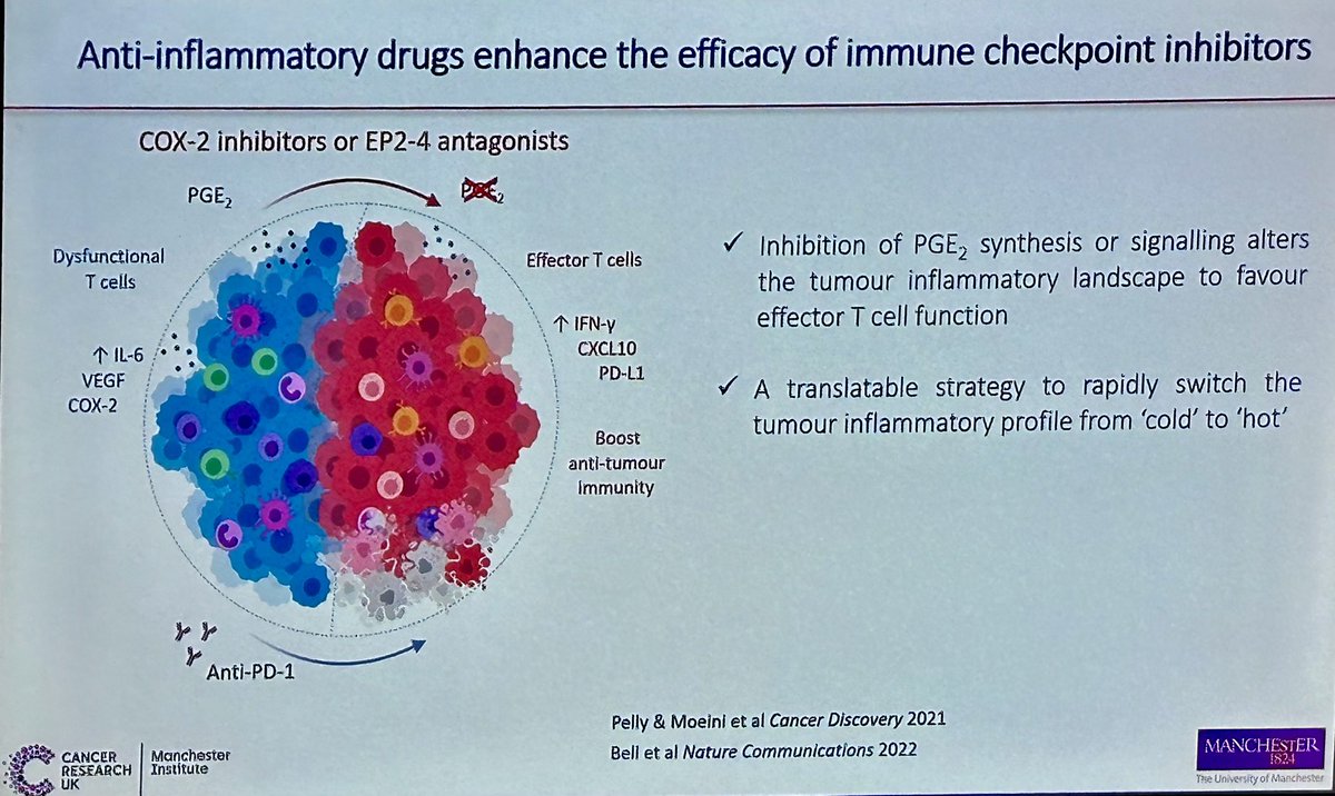 Tim Slattery (@drtimslattery) on Twitter photo Fantastic talk by <a href="/SantiagoZelenay/">Santiago Zelenay</a>: adding COX-2i to IO is a cheap, readily available, and effective way to modulate the TME & overcome resistance #ESMO23 Fantastic talk by <a href="/SantiagoZelenay/">Santiago Zelenay</a>: adding COX-2i to IO is a cheap, readily available, and effective way to modulate the TME & overcome resistance #ESMO23
