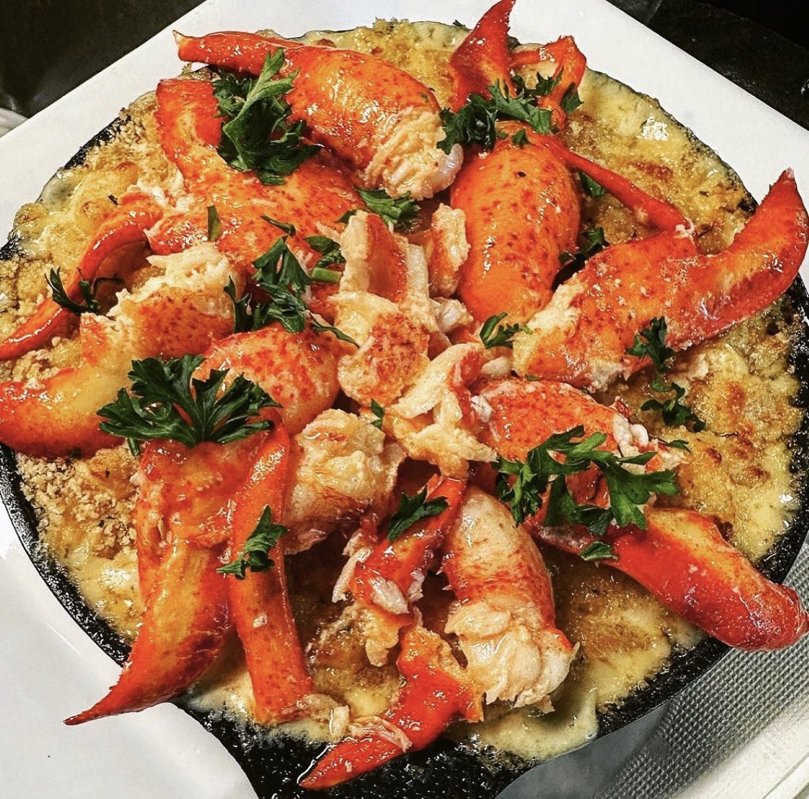 chefJeff203's tweet photo. @IAmAlexScar (2) I’m a well decorated chef, I’ve been featured in the food network &amp; cooking channel. I promise to stay in my lane, I just really want to be part of the GaS digital community. Don’t be getting someone stupid, like duh-Rosa. Here a picture of my lobster Mac n chz https://t.co/Yoa5EGNcp1