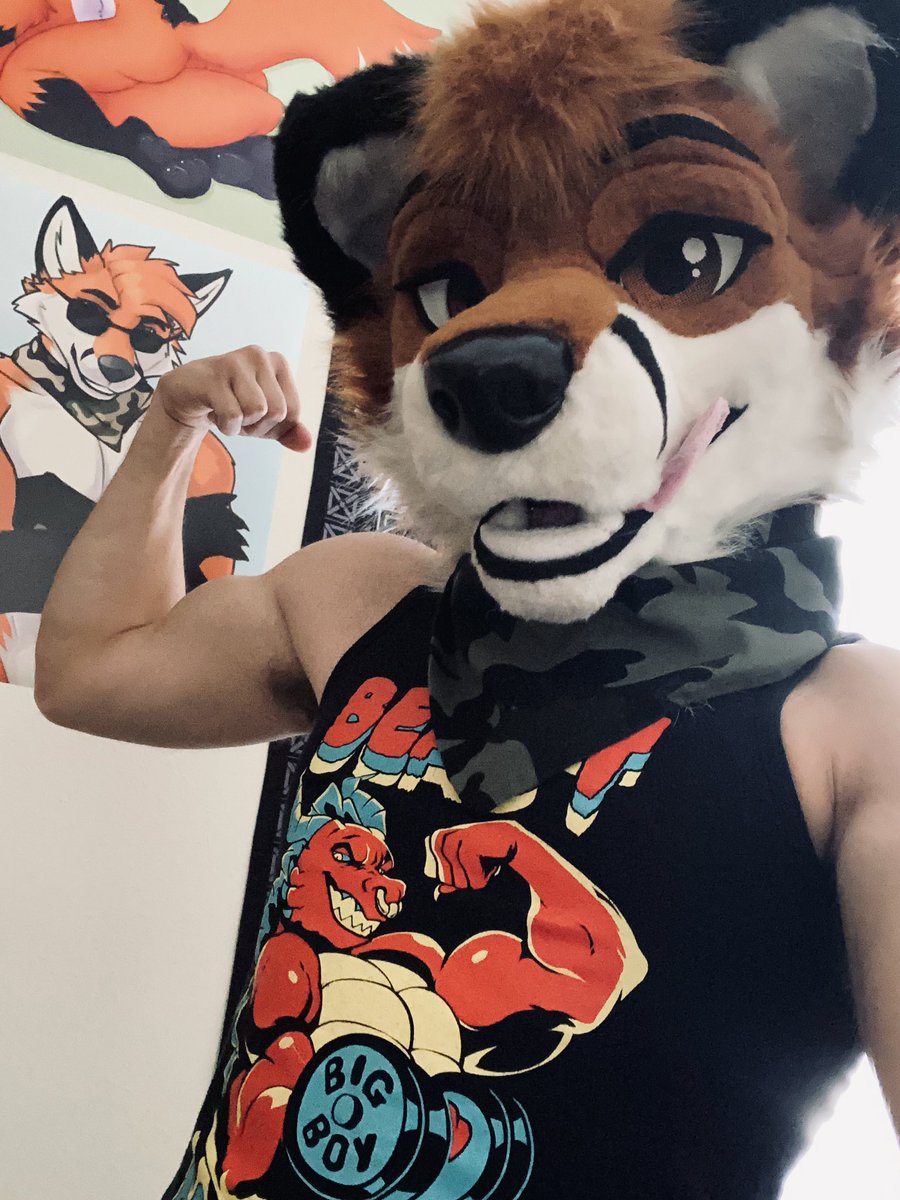 HomeRunLuis's tweet photo. Always believe in yourself 🦊 

#FursuitFriday https://t.co/hvgkBwX1Ya
