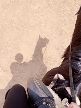 jayarragadio's tweet photo. #### I think I would be interested in horse riding. If you know that riding a horse can support your mind a lot, I think you will want to ride more happily. When you think about riding a horse, you feel excited and happy. https://t.co/1lmEYSlMhN