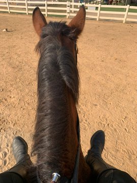 #### I think I would be interested in horse riding. If you know that riding a horse can support your mind a lot, I think you will want to ride more happily. When you think about riding a horse, you feel excited and happy.