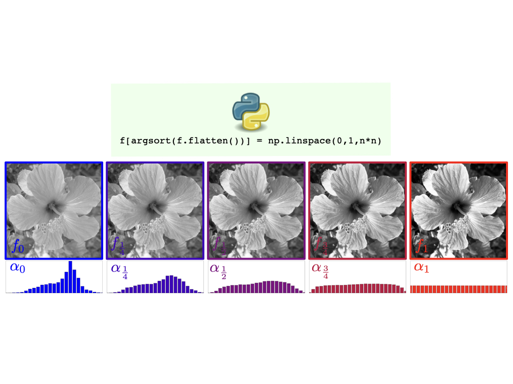 Histogram equalization is 1-D optimal transport. 1 line of Python code. Linearly interpolating the sorted values is Robert McCann's displacement interpolation, aka the OT geodesic. en.wikipedia.org/wiki/Histogram… math.toronto.edu/mccann/