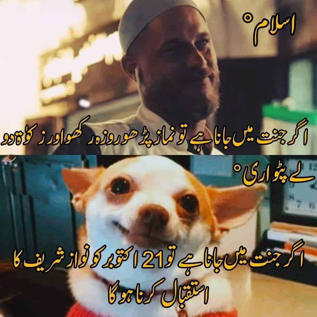 aamirdurrani's tweet photo. @worqas Lo gi https://t.co/5duPhezpaT