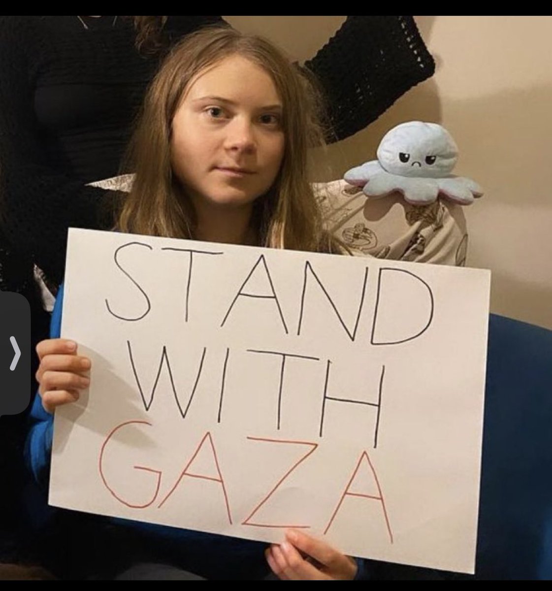 LadyVelvet_HFQ's tweet photo. #GretaThunberg calls to "stand with #Gaza" on Instagram. https://t.co/kNsve03QXI