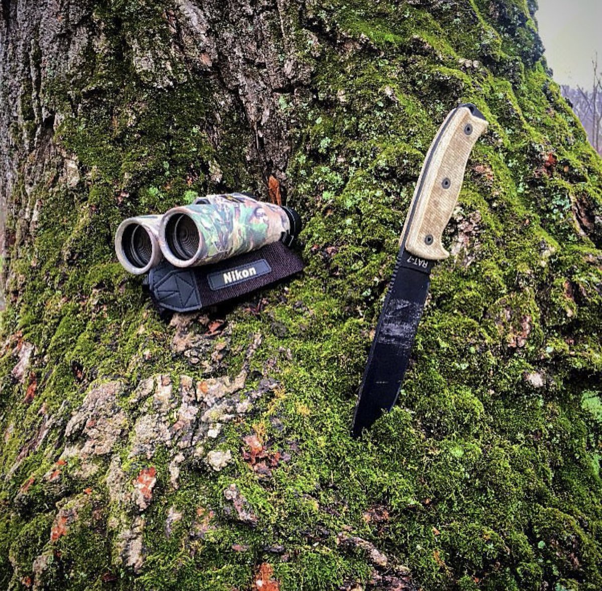 OntarioKnife's tweet photo. You don’t need binoculars to see that the #RAT7 is a great Tool for #FixedbladeFriday! 
#LegacyAdventureExplore 👌🏽🔪🐀 
#ontarioknifecompany #ontarioknife #ontarioknives #ontarioknifeco #OKC1889  #hunting #camping #hiking #outdoors #tools #gear #quality #bushcraft #survival https://t.co/gk5nmKEO8F