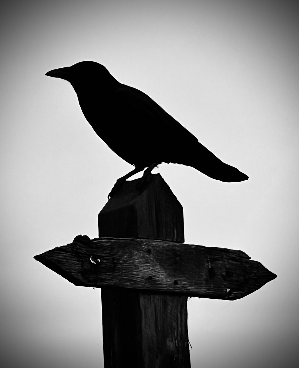 Swaino (@swaino) on Twitter photo 