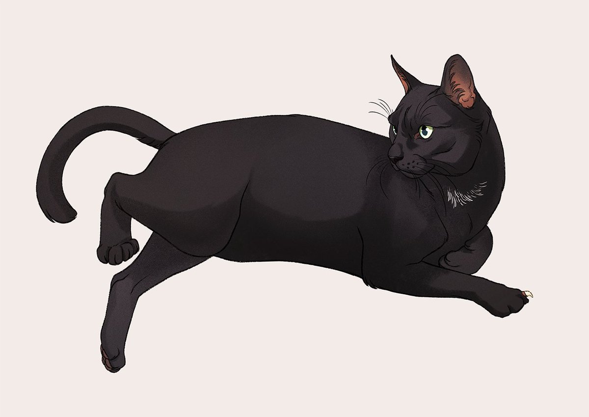 「#petportrait #Commission of Salem for Jo」|Nora Potworaのイラスト