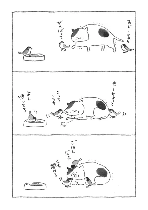 世話焼きスズメ 