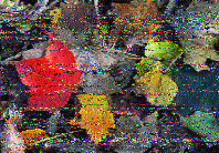 ML_HH's tweet photo. @swradiogram Thanks for today's program, Kim! Good reseption on 15770 kHz in Germany. Only little fading, nice transmission! Have a nice weekend! 73 https://t.co/sCBRDslEW8