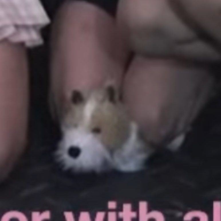 ช่วยแฮงค์กี้ด้วย5555555555555