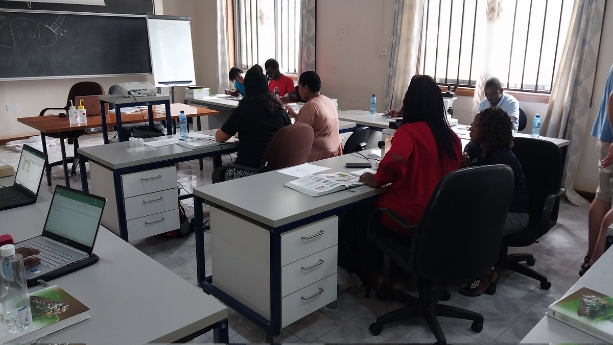 John Midgley (@johnmmidgley) on Twitter photo #FlyFriday in Tanzania, conducting training at <a href="/SokoineU/">Sokoine University of Agriculture (SUA)</a>. Participants from 8 African countries are learning to collect and ID flies to family, with genus IDs next week. #FlyFriday in Tanzania, conducting training at <a href="/SokoineU/">Sokoine University of Agriculture (SUA)</a>. Participants from 8 African countries are learning to collect and ID flies to family, with genus IDs next week.