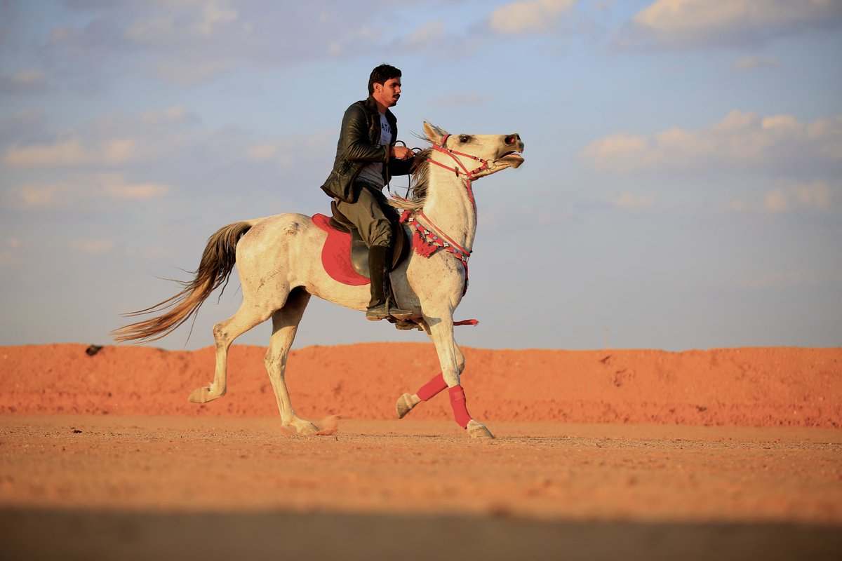 kh343k's tweet photo. #واس : 

ركوب الخيل .. رياضة تستهوي شباب 
محافظة #طريف . #الحدود_الشمالية  

https://t.co/VKYhcyOZL3 https://t.co/fZvmNAKMCZ