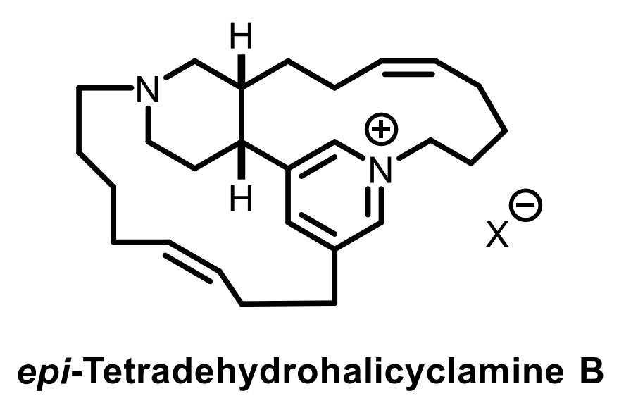 Waser Group (@lcsolab) on Twitter photo In #LCSOSynthesisProblem this week, <a href="/helsoleav/">Helena Solé</a> challenged us with the synthesis of epi-Tetradehydrohalicyclamine B by Prof. Fürstner in <a href="/angew_chem/">Angewandte Chemie</a>! <a href="/TotalSynthesis/">Total Synthesis</a> #TotalSynthesis #Chemistry
Take a look: epfl.ch/labs/lcso/wp-c…
Original paper: onlinelibrary.wiley.com/doi/pdf/10.100… In #LCSOSynthesisProblem this week, <a href="/helsoleav/">Helena Solé</a> challenged us with the synthesis of epi-Tetradehydrohalicyclamine B by Prof. Fürstner in <a href="/angew_chem/">Angewandte Chemie</a>! <a href="/TotalSynthesis/">Total Synthesis</a> #TotalSynthesis #Chemistry
Take a look: epfl.ch/labs/lcso/wp-c…
Original paper: onlinelibrary.wiley.com/doi/pdf/10.100…