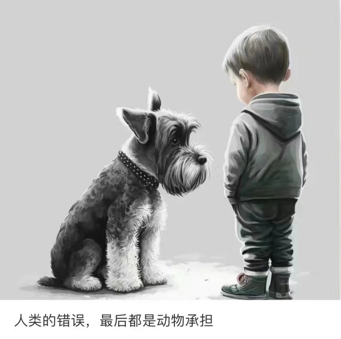 yangchan1127's tweet photo. 我对人类苦难的同情心远小于对于动物的 https://t.co/peOG1hvWnn