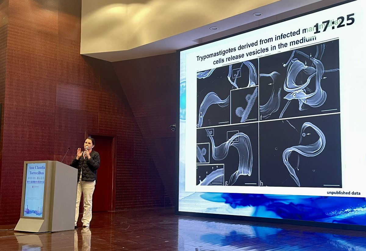 LenassiMetka's tweet photo. Great talks by #andymoeller,#minhle, #anaclaudiatorrecilhas and #qichen for @IsevOrg and #CSEV joint session in Shanghai! We learned about #extracellularvesicles in cancer metastasis, RBC &amp; placental EVs therapeutic potential, and protozoan parasite EVs. @IsevComms @Yiyao_Huang https://t.co/a7GhOSlj4x