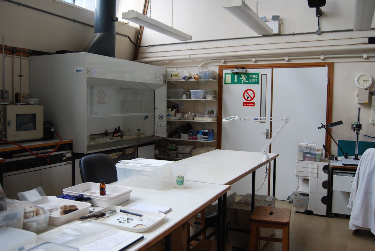 Happy #FindsFriday!

This #student month, are you curious about a career in #conservation and want to see how professional conservation labs function? Join us FREE for a virtual tour of three museum conservation laboratories on the 27th of October:

icon.org.uk/events/student…
