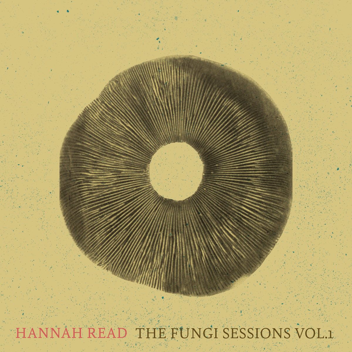 My new album The Fungi Sessions Vol. 1 is out today! I’m so excited to share this with you all 🍄♥️ Visit hannahread.com/the-fungi-sess… for the full backstory + links to listen/buy. Thank you and I hope you enjoy X