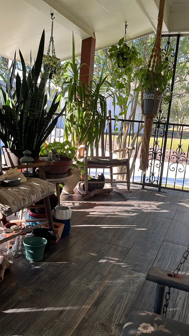 where's Nala? https://t.co/P2HQhPO8v6