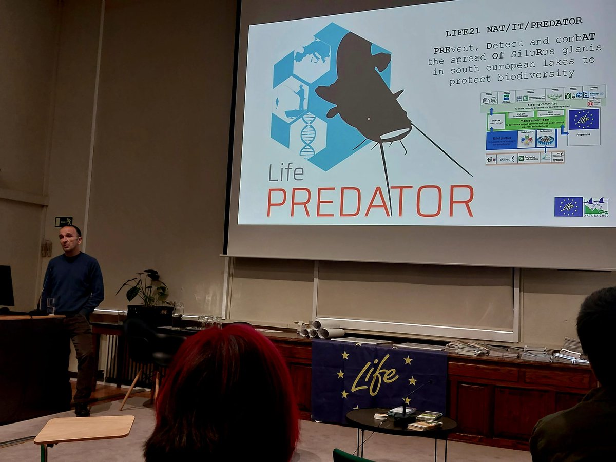 FishInvasionLab's tweet image. Today, I had a great day in Madrid for the final session of @LifeInvasaqua discussing the different ongoing projects #Megapredator #Lifepredator about #Silurusglanis invasion in Portugal thanks for the invite @fjOlivaPaterna