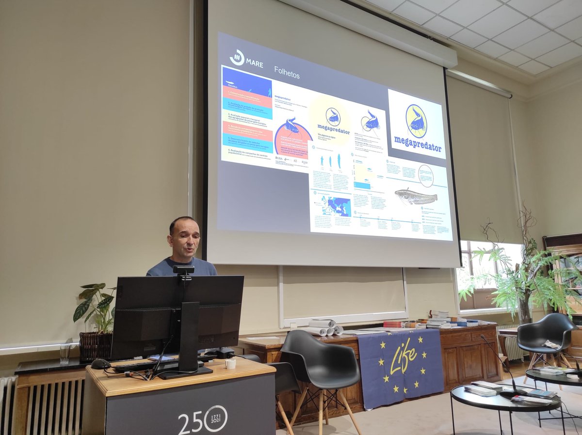 FishInvasionLab's tweet image. Today, I had a great day in Madrid for the final session of @LifeInvasaqua discussing the different ongoing projects #Megapredator #Lifepredator about #Silurusglanis invasion in Portugal thanks for the invite @fjOlivaPaterna