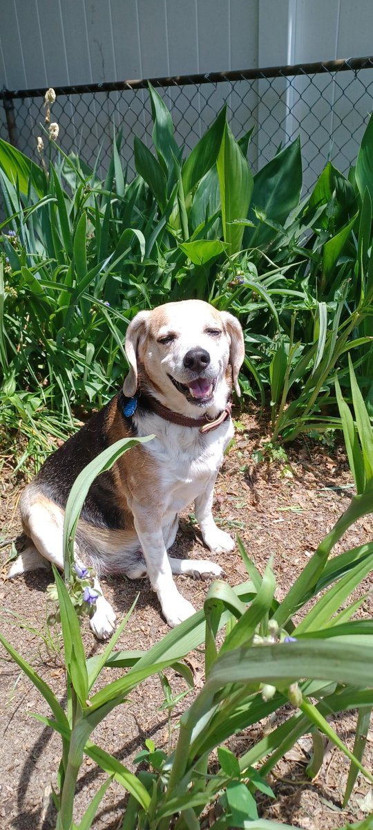 Marco Socrates Po-Lo 🎈 tweet media