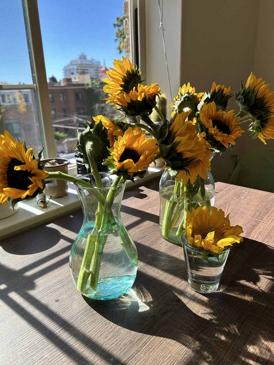 Friday flowers! One for me, one for a friend. 
#FridayFeeling #fridayflowers