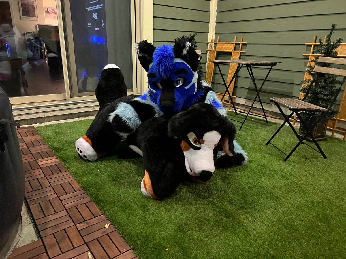 Its fursuit friday! Dont forget to celebrate with your friends!