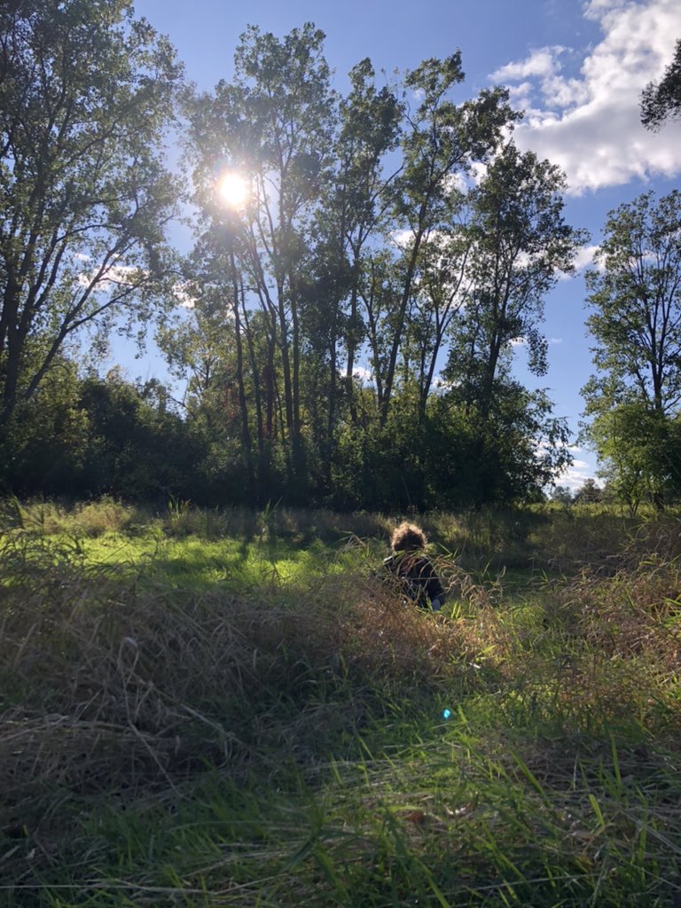 MSU FW Club tweet media