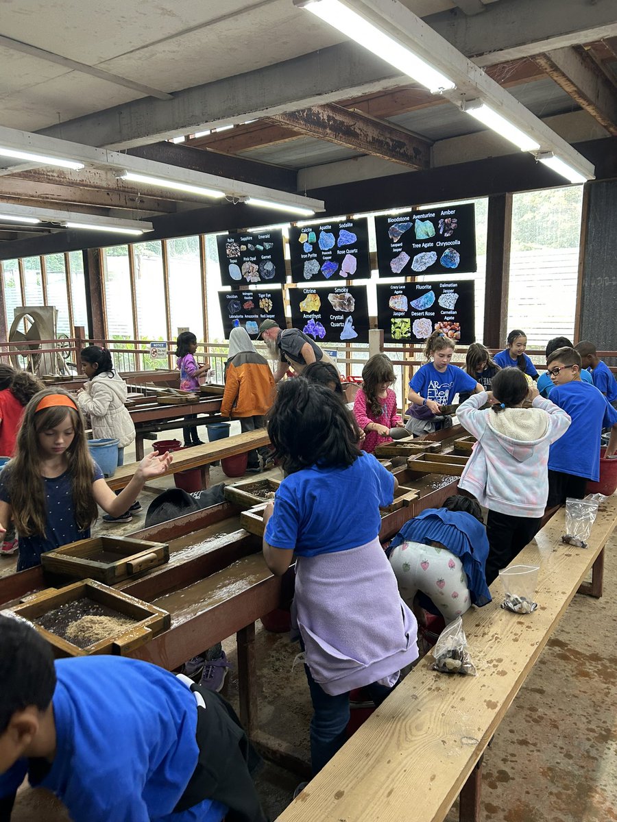 MrsFernandez3rd's tweet image. Part 2! First field trip of the year to the Consolidated Gold Mines! #learningrocks @npepanthers