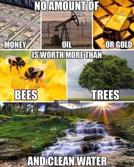 Night thoughts

It is up to all of us to restore the values of life to their rightful place.💚🐝☘️🌿🌱🌲🌳🍀💚