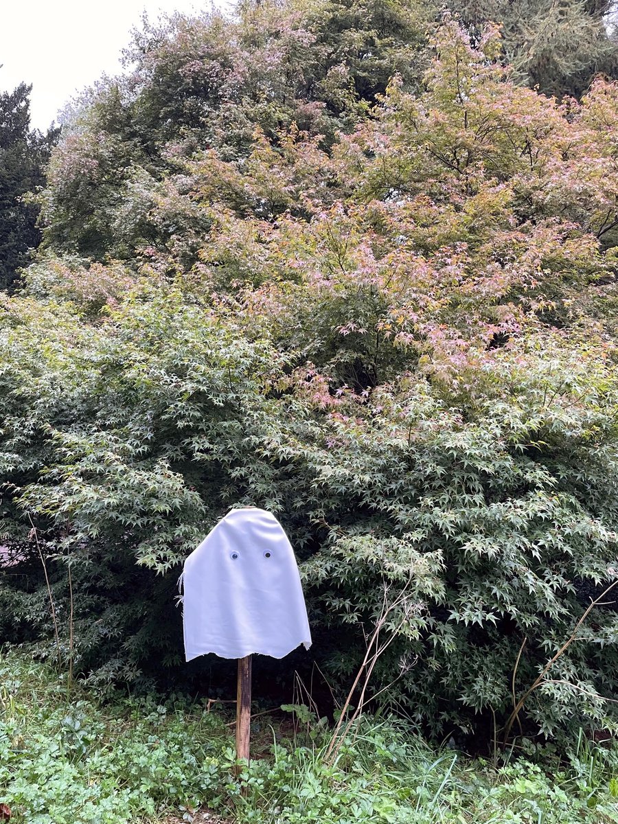 Somerset outdoor tweet media